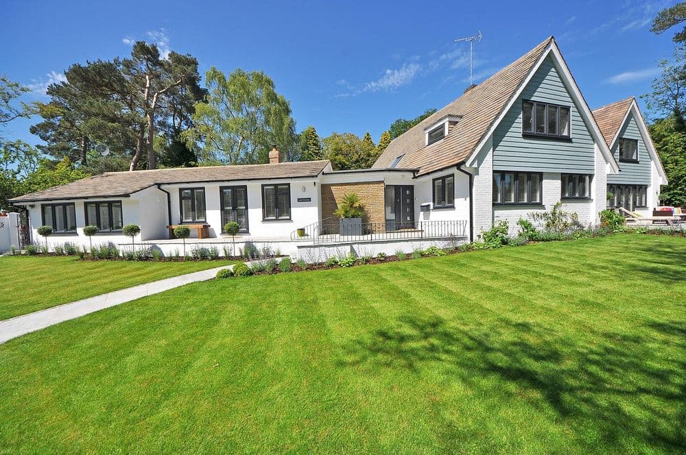 About Rico Lawn Care