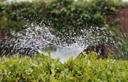 Innovative Sprinkler Repair Solutions's image